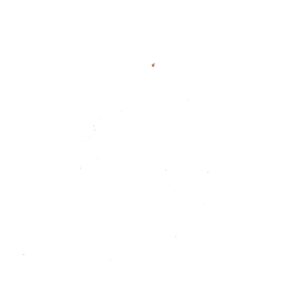 g_logo_white